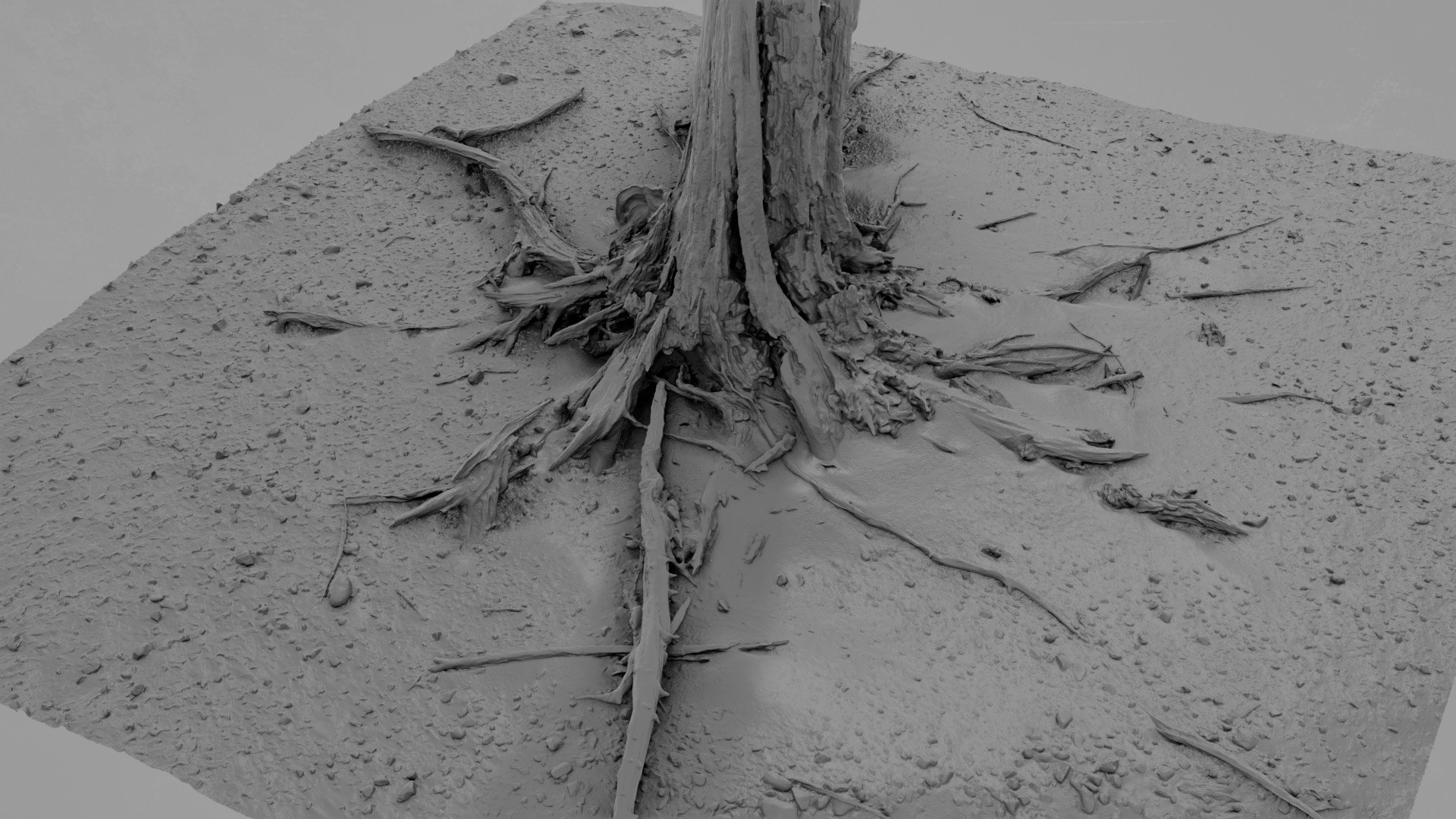 3D Dead Tree 008 Model - TurboSquid 2324915