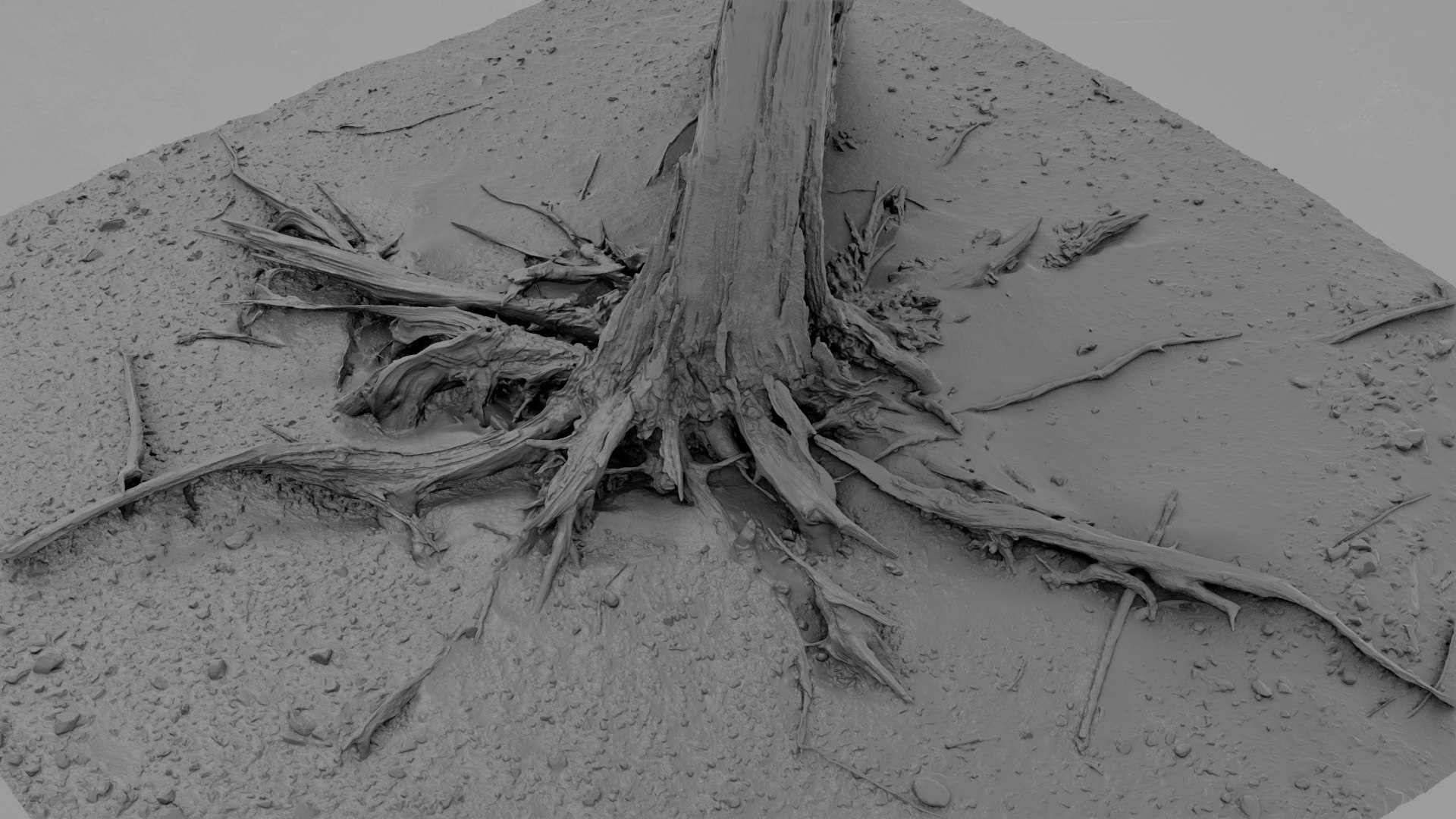 3D Dead Tree 008 Model - TurboSquid 2324915