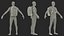Hard Shell Laptop Backpack Black on Mannequin