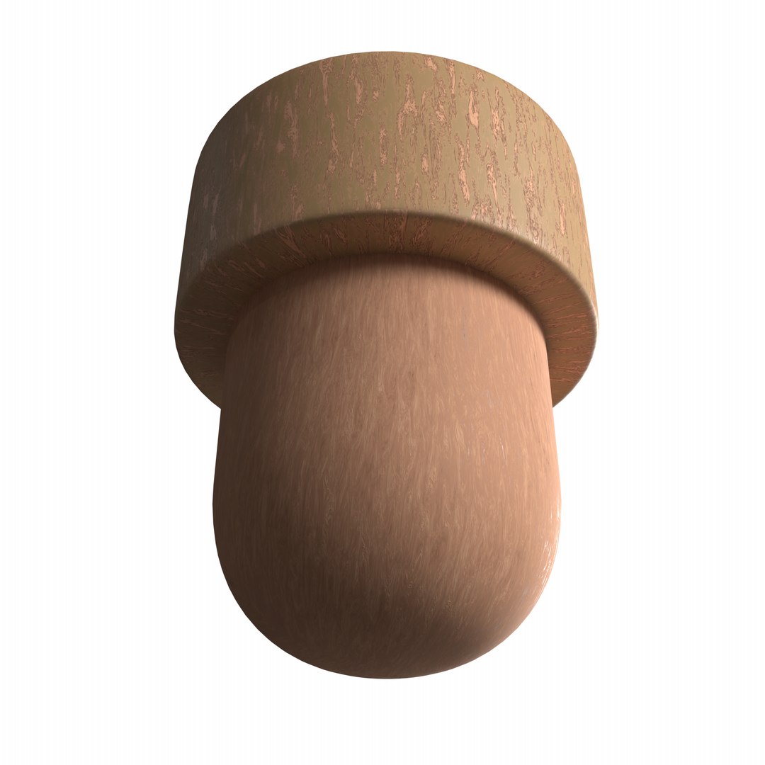 Wooden Cap cork PBR 02 3D model https://p.turbosquid.com/ts-thumb/pB/gMRkQY/8m/untitled/png/1755693051/1920x1080/fit_q87/9965b9583dc1ae4de69eba97dc2bac087b7eaa9a/untitled.jpg