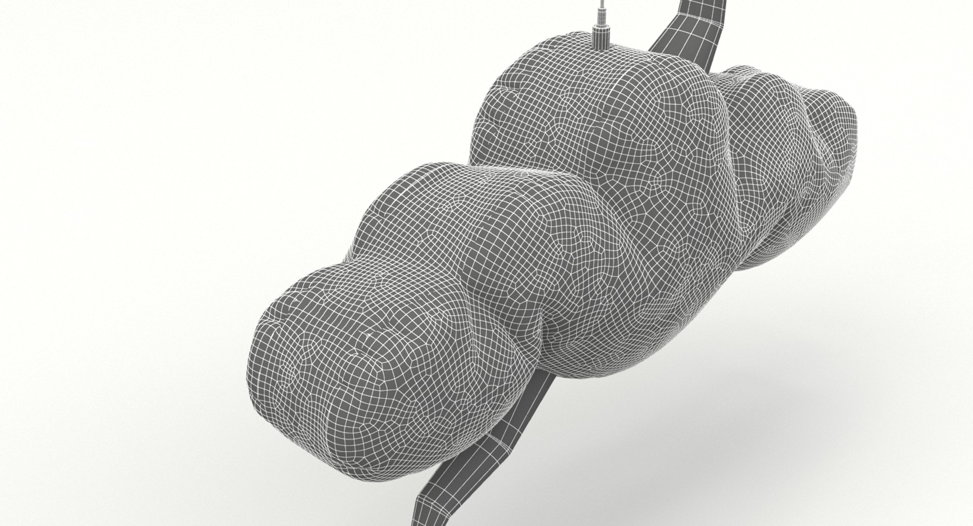 Hanging Inflatable Cloud 3D Model - TurboSquid 1195126