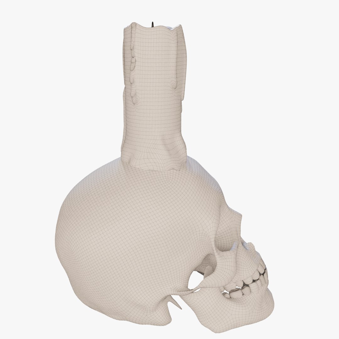 skull candle model https://p.turbosquid.com/ts-thumb/pC/JsA9xW/BjWwsKdQ/wire02/jpg/1586796598/1920x1080/fit_q87/ebeefe06b4949d002d3590685c6fda442e7717ea/wire02.jpg