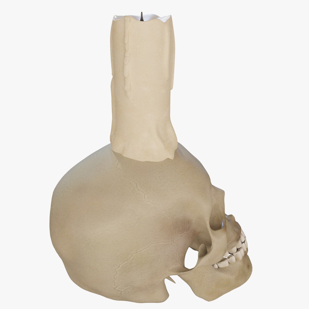 skull candle model https://p.turbosquid.com/ts-thumb/pC/JsA9xW/L0XDtAMx/skully_03/jpg/1586796598/1920x1080/fit_q87/6edcc3fcbd30b7253be951fdee79c888dfd09dbd/skully_03.jpg