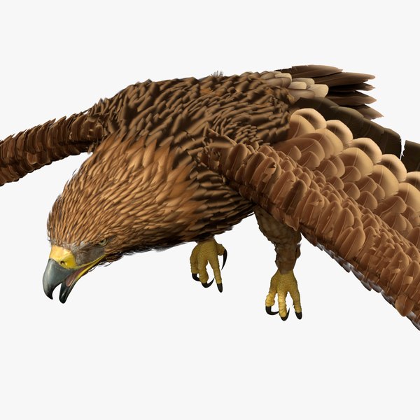 3D Realistic Imperial Eagle Flying model