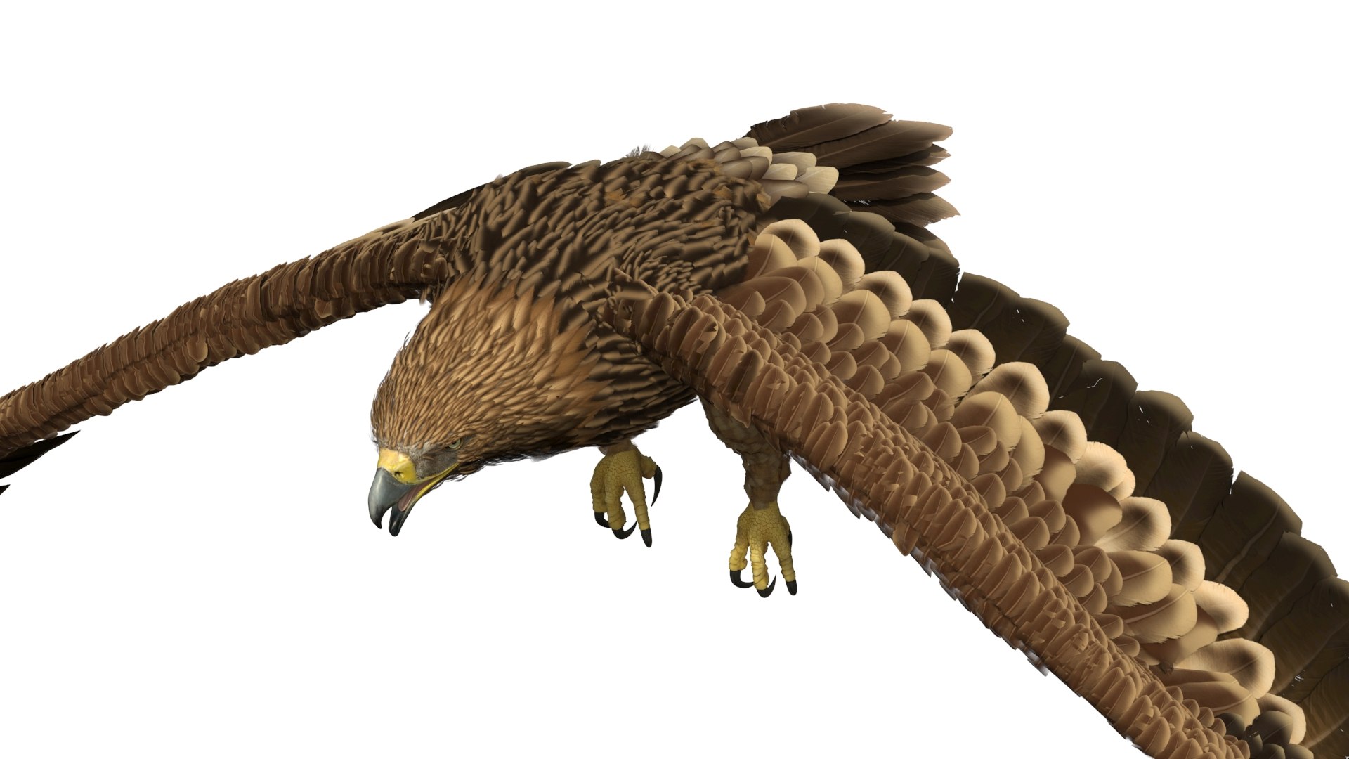 Realistic Imperial Eagle Flying 3D model preview