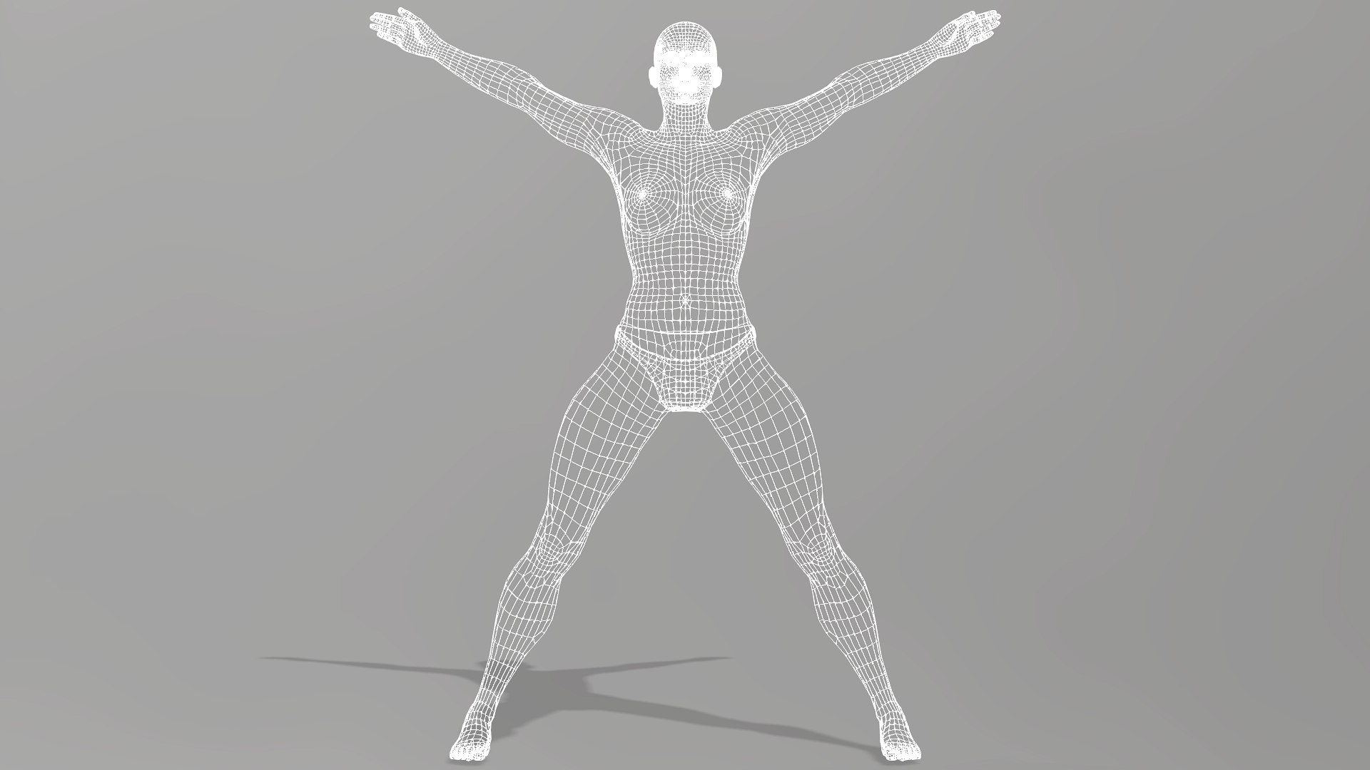 Female Anatomy 3D Model - TurboSquid 2370380