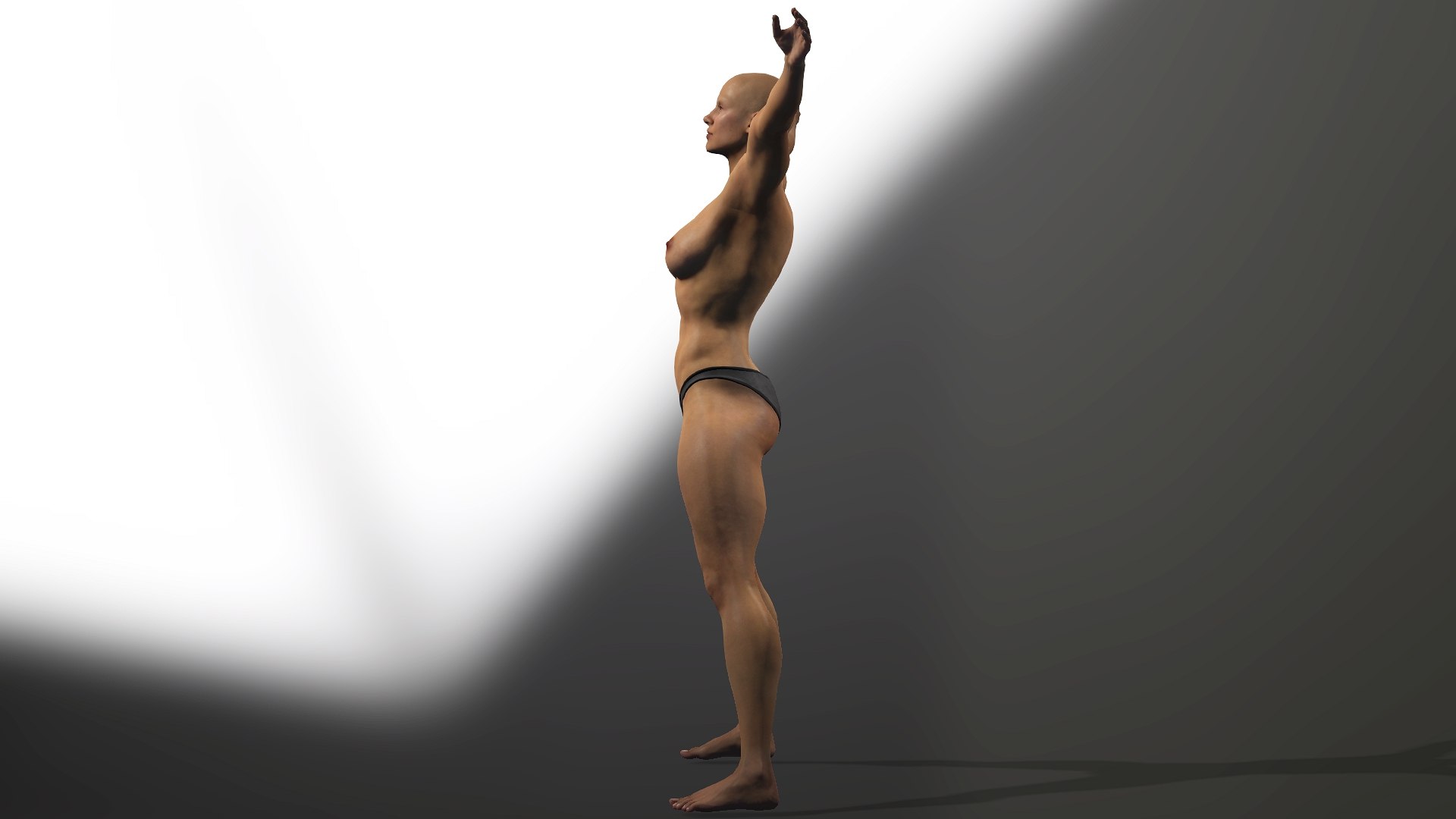 Female anatomy 3D model https://p.turbosquid.com/ts-thumb/pC/WvP9Q2/Yk/14/jpg/1741392197/1920x1080/fit_q87/742b14ab14affda5e9f49517ca23a32f410d0295/14.jpg