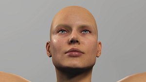 Female anatomy 3D model