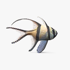 Banggai Cardinalfish