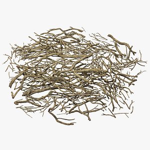 Twig V5 PBR 3D model