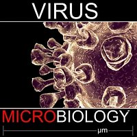 Human parainfluenza virus