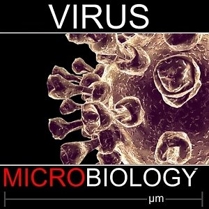 c4d human virus parainfluenza