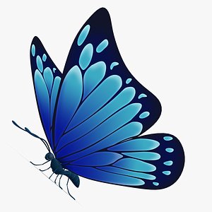 Butterfly Dark-blue