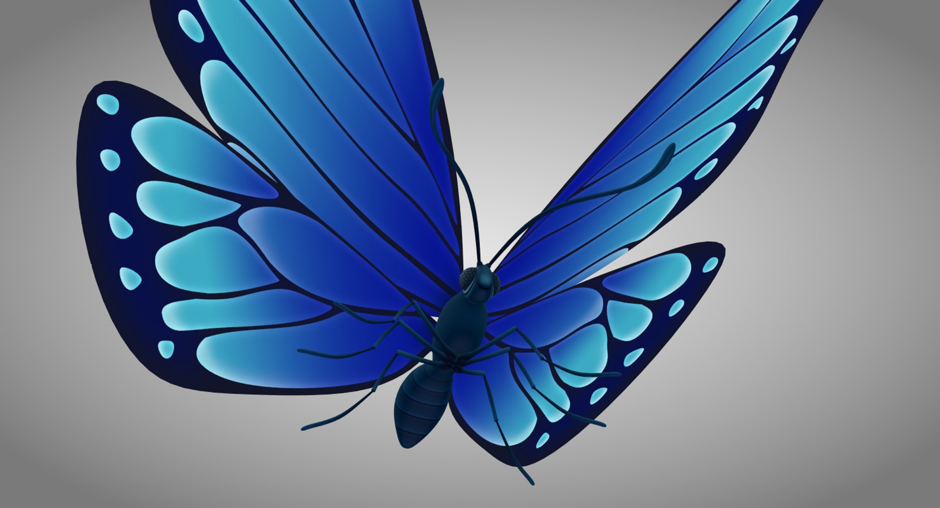 most beautiful butterflies in the world animated