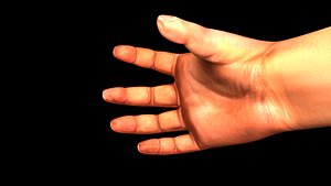 hand 3d model