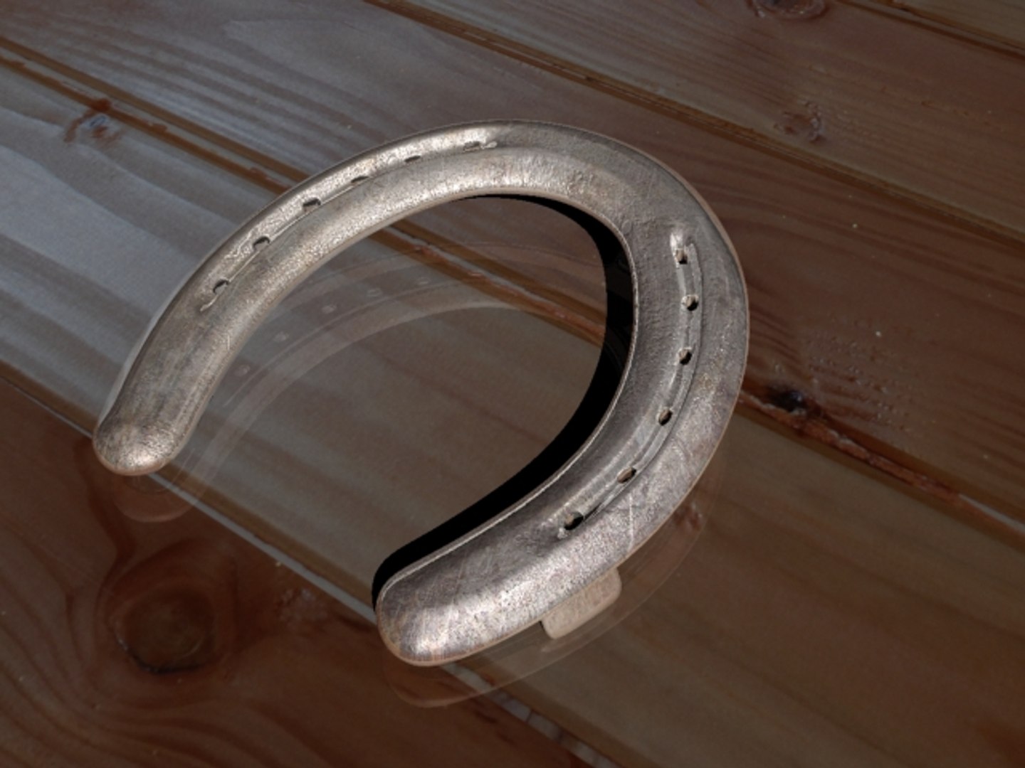 3dsmax Horse Shoe