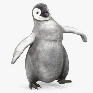baby emperor penguin rigged 3D