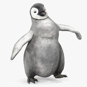 Baby Emperor Penguin Rigged
