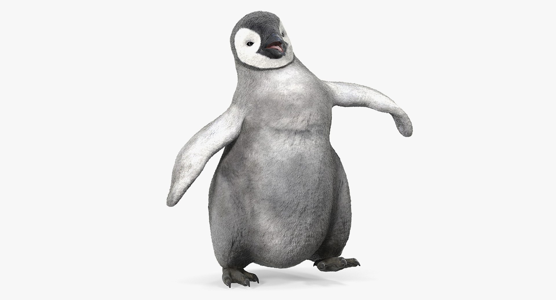 Baby Emperor Penguin Rigged 3D model preview