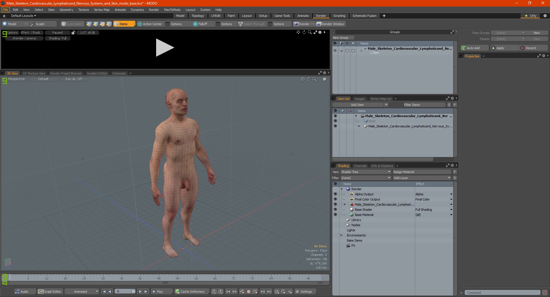 3D male skeleton cardiovascular lymphatic https://p.turbosquid.com/ts-thumb/pC/u1pJZc/8xHp0sZ1/maleskeletoncardiovascularlymphaticandnervoussystemsandskinc4dmodel066/jpg/1590577709/1920x1080/fit_q87/993911d8fc6cb08af809f40db34401a87e801450/maleskeletoncardiovascularlymphaticandnervoussystemsandskinc4dmodel066.jpg