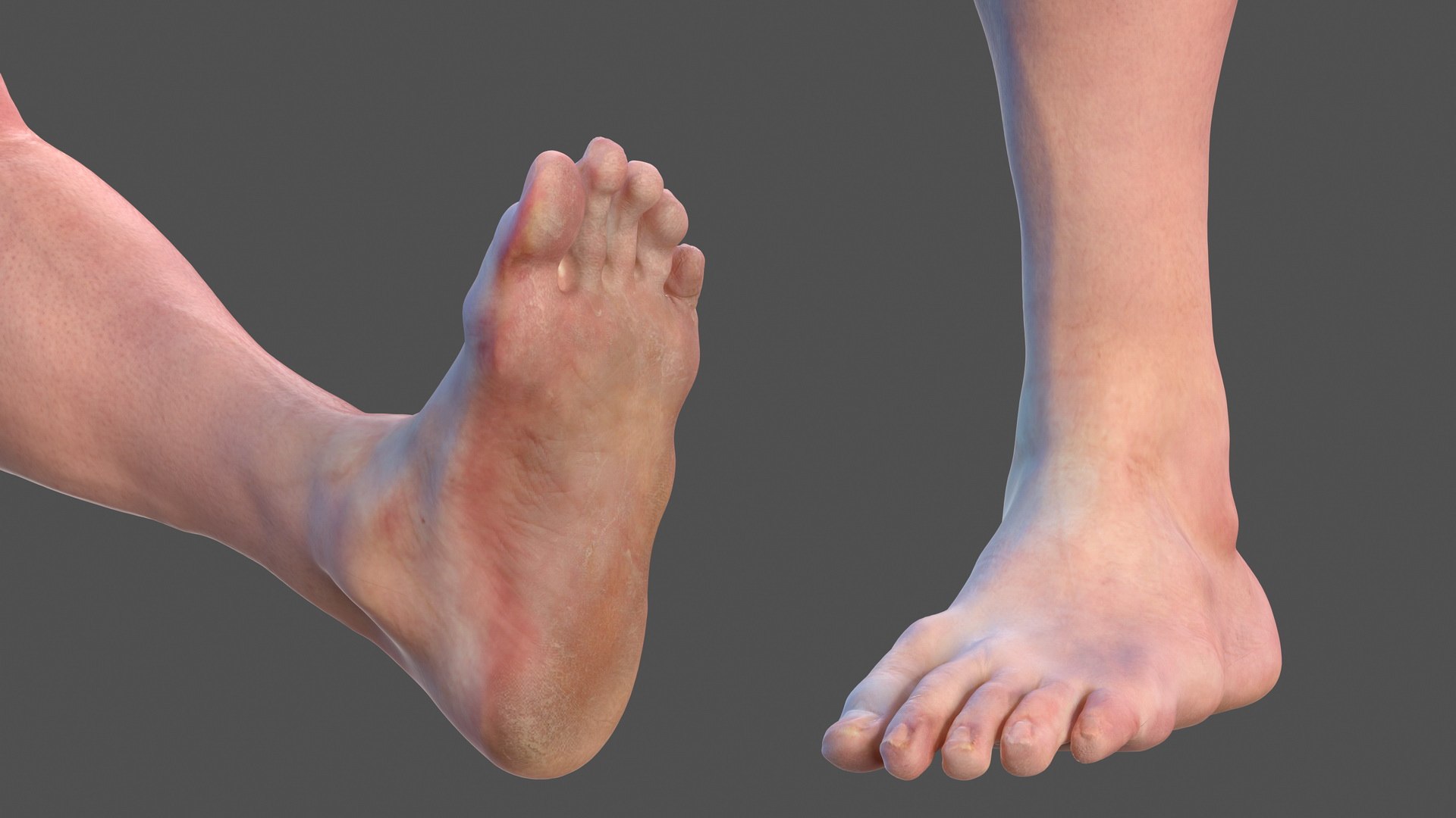 3D male skeleton cardiovascular lymphatic https://p.turbosquid.com/ts-thumb/pC/u1pJZc/Eqm3dCHB/maleskeletoncardiovascularlymphaticandnervoussystemsandskinc4dmodel009/jpg/1590577119/1920x1080/fit_q87/83591572943500de2bd1a743d11d55cbe3b154a5/maleskeletoncardiovascularlymphaticandnervoussystemsandskinc4dmodel009.jpg