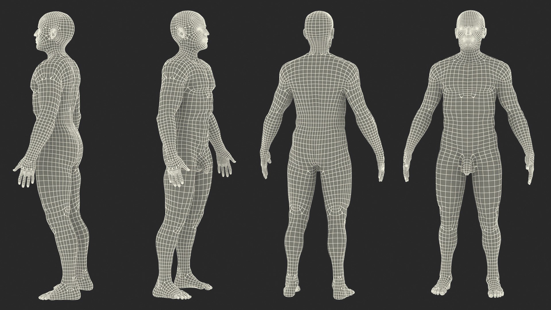 3D male skeleton cardiovascular lymphatic https://p.turbosquid.com/ts-thumb/pC/u1pJZc/S7NYWKrk/maleskeletoncardiovascularlymphaticandnervoussystemsandskinc4dmodel068/jpg/1590577728/1920x1080/fit_q87/5f57f90abbc2cf6fba4a8f624908d867053af51f/maleskeletoncardiovascularlymphaticandnervoussystemsandskinc4dmodel068.jpg