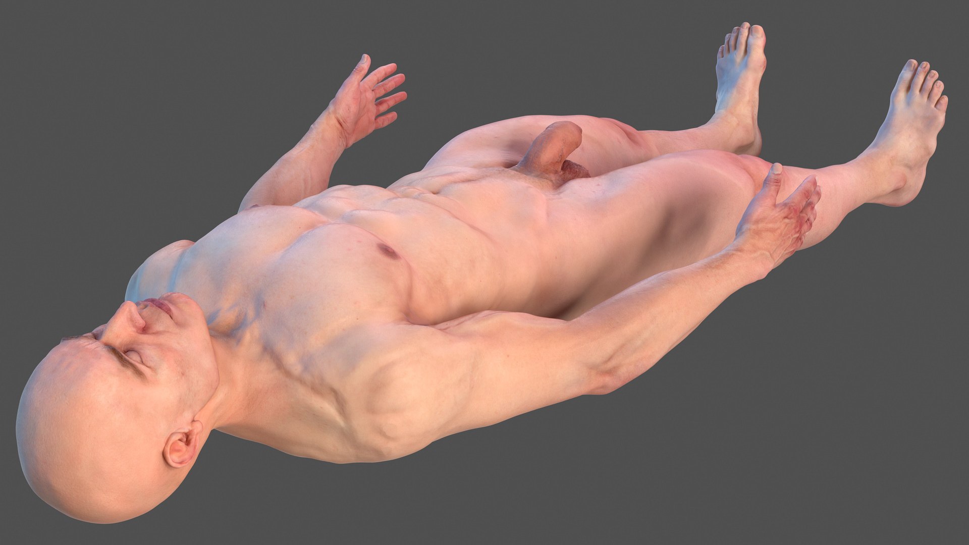 3D male skeleton cardiovascular lymphatic https://p.turbosquid.com/ts-thumb/pC/u1pJZc/XhZFWCaz/maleskeletoncardiovascularlymphaticandnervoussystemsandskinc4dmodel007/jpg/1590577100/1920x1080/fit_q87/9b3c7a987fb0357d6b7038568b7364e7eeb301ea/maleskeletoncardiovascularlymphaticandnervoussystemsandskinc4dmodel007.jpg