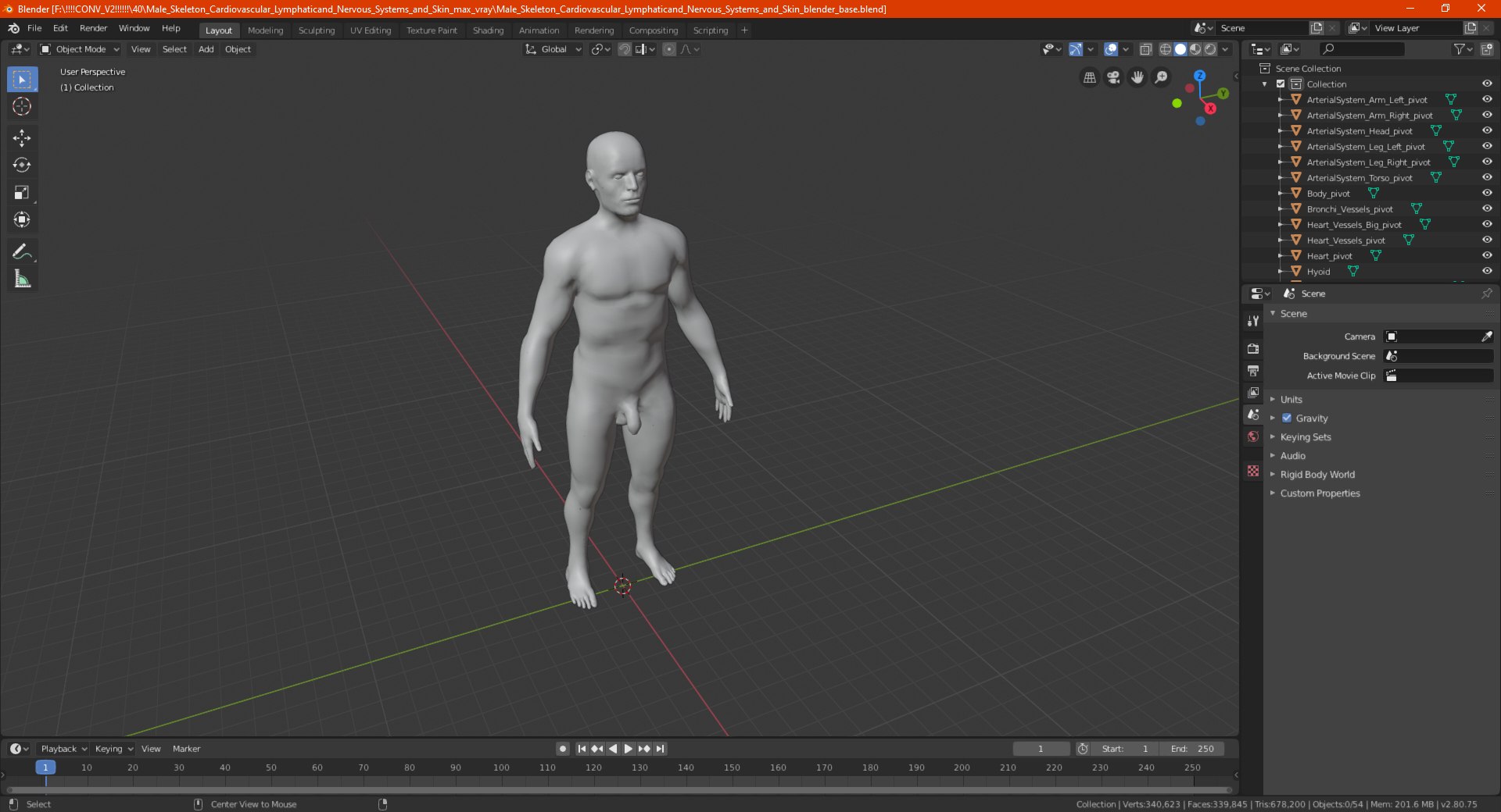 3D male skeleton cardiovascular lymphatic https://p.turbosquid.com/ts-thumb/pC/u1pJZc/cmiEWqxB/maleskeletoncardiovascularlymphaticandnervoussystemsandskinc4dmodel065/jpg/1590577700/1920x1080/fit_q87/7a812f9bb712a7f7e026bcfe64822fcf4973ac79/maleskeletoncardiovascularlymphaticandnervoussystemsandskinc4dmodel065.jpg