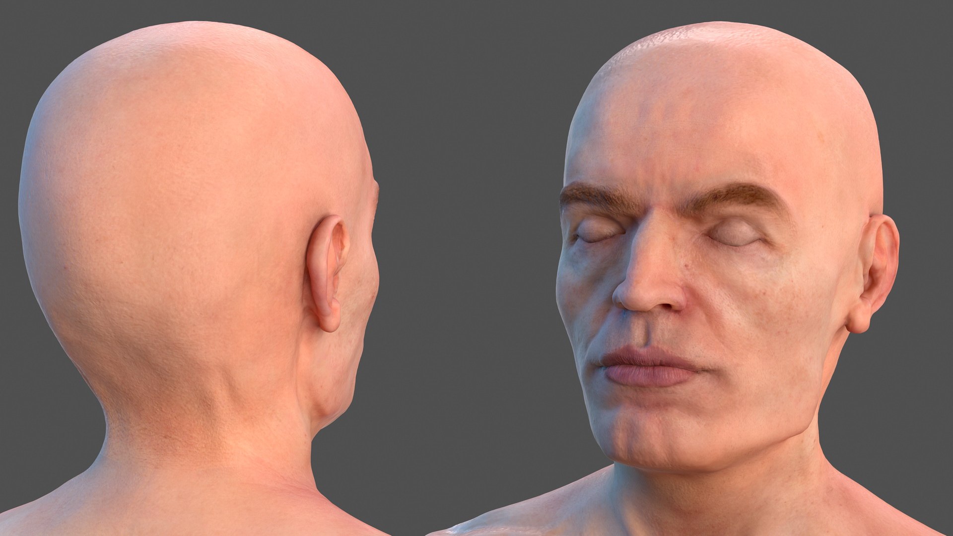 3D male skeleton cardiovascular lymphatic https://p.turbosquid.com/ts-thumb/pC/u1pJZc/x67ppX4A/maleskeletoncardiovascularlymphaticandnervoussystemsandskinc4dmodel008/jpg/1590577111/1920x1080/fit_q87/bc399b4c694745ca77d085e93544495e0976b68a/maleskeletoncardiovascularlymphaticandnervoussystemsandskinc4dmodel008.jpg