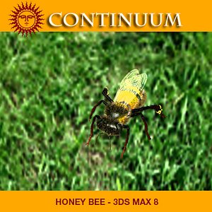 honey bee 3d 3ds