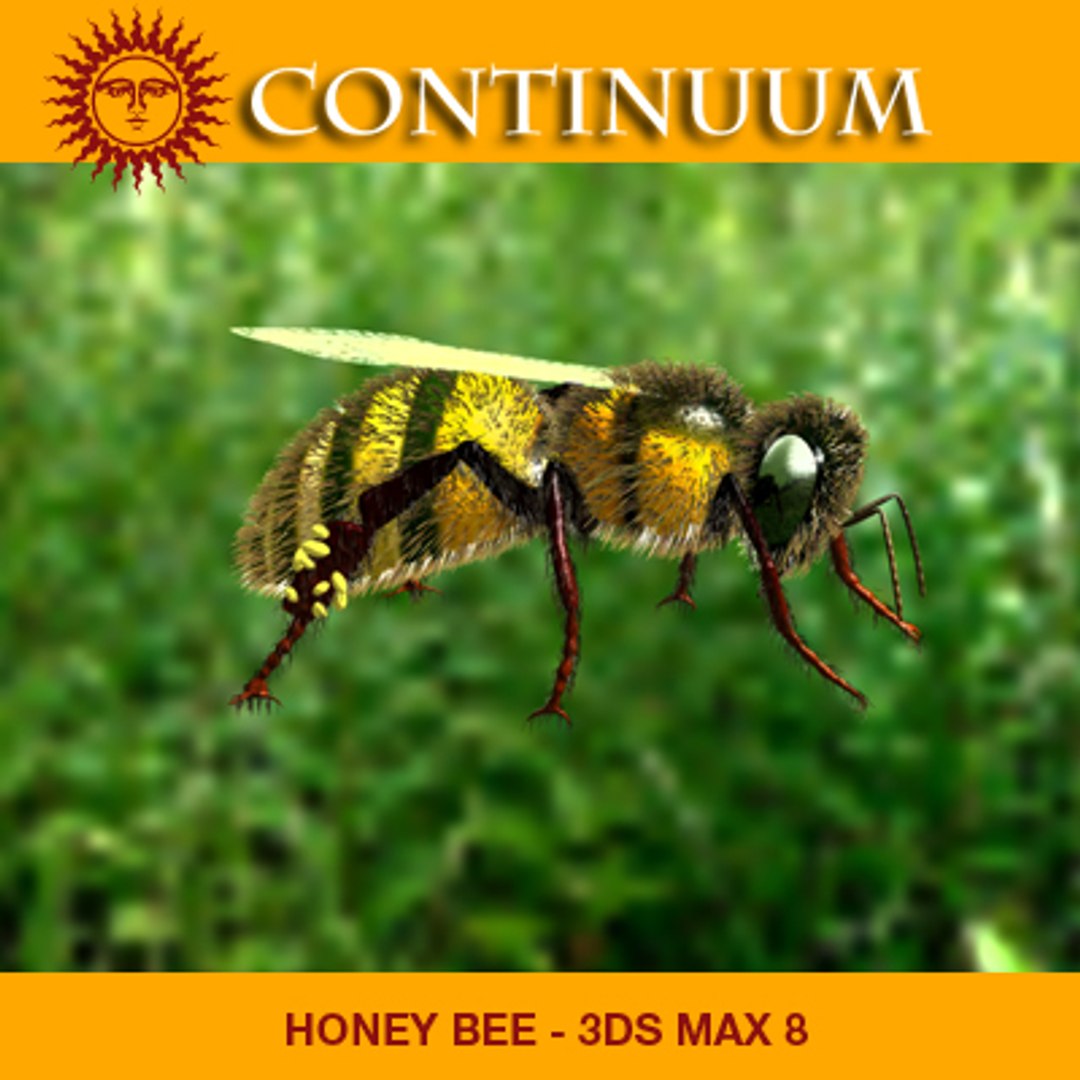 honey bee 3d 3ds