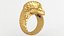 Anello dell'Aquila