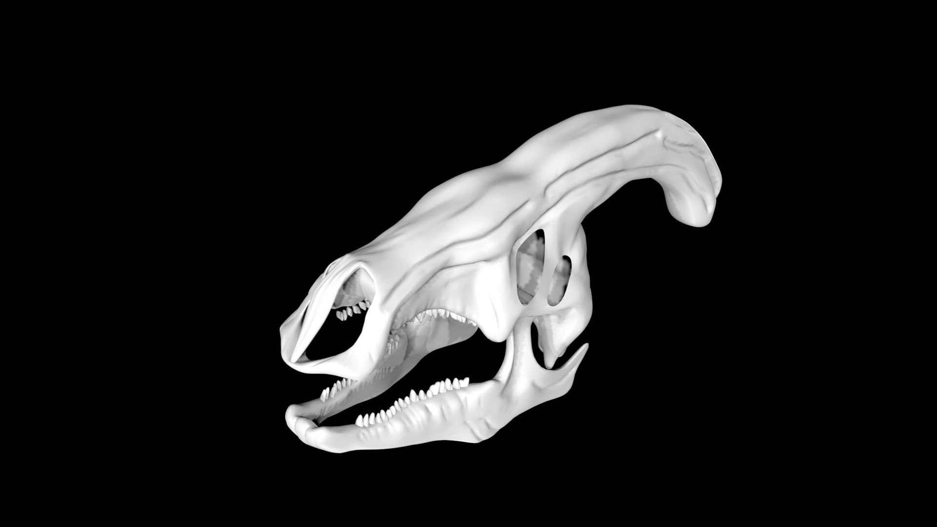 Parasaurolophus skull 3D model https://p.turbosquid.com/ts-thumb/pD/ARqTie/0p/parasaurolophusskull6/jpg/1649178068/1920x1080/fit_q87/724c814d745dbd4f710f91a44d2a9ae23de18ccb/parasaurolophusskull6.jpg
