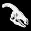 Cranio di parasaurolofo