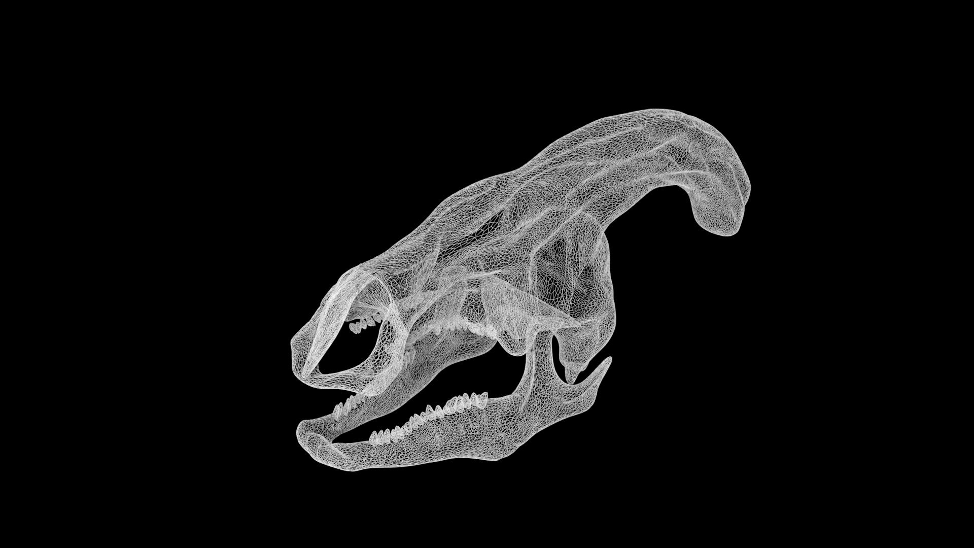 Parasaurolophus skull 3D model https://p.turbosquid.com/ts-thumb/pD/ARqTie/Ox/parasaurolophusskull9/jpg/1649178070/1920x1080/fit_q87/e81e1fd8a10375792626c3e0ba5f92c3c1d649f9/parasaurolophusskull9.jpg