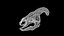 Cranio di parasaurolofo