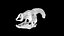 Cranio di parasaurolofo