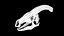 Cranio di parasaurolofo