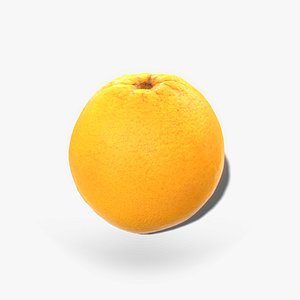 ready orange 3D model