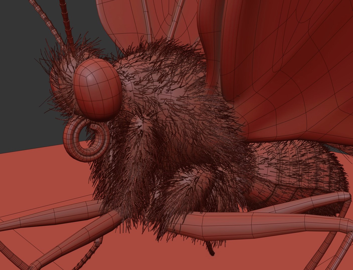 3D Realistic Swallowtail Butterfly Insect - TurboSquid 1580177