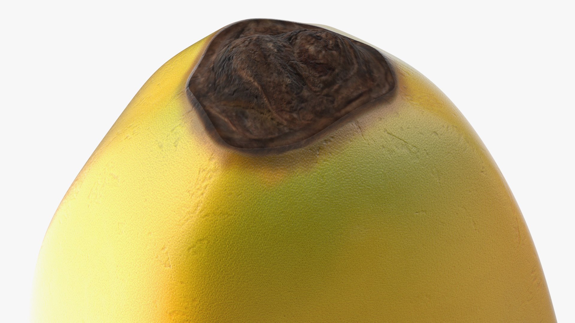 Yellow Baby Banana 3D model https://p.turbosquid.com/ts-thumb/pD/PvRbhK/ht/yellowbabybanana3dsmodel012/jpg/1635204358/1920x1080/fit_q87/d1e78bc57e4b45e01105b2a42e3b86129e77e408/yellowbabybanana3dsmodel012.jpg