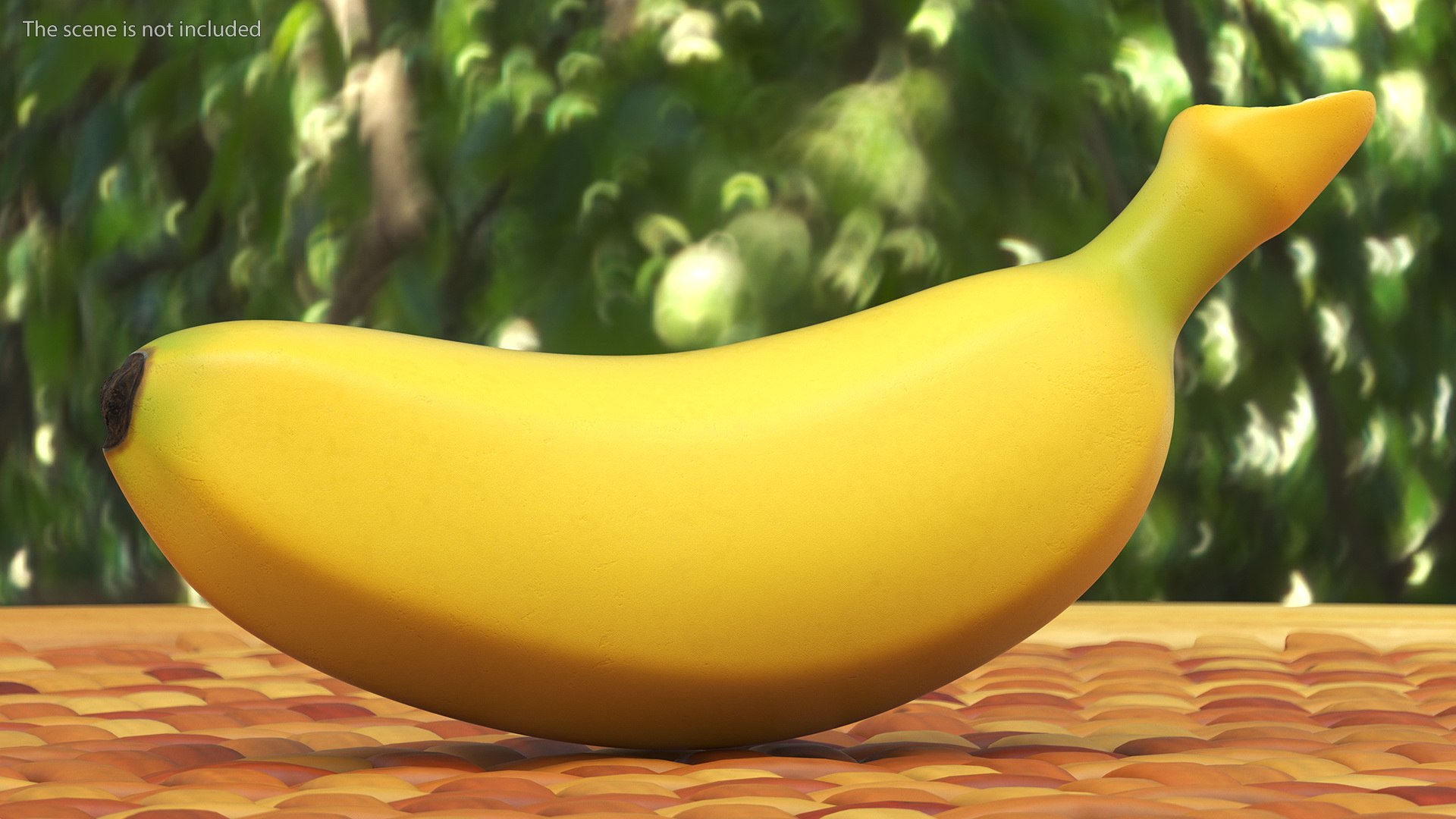 Yellow Baby Banana 3D model https://p.turbosquid.com/ts-thumb/pD/PvRbhK/pf/yellowbabybanana3dsmodel002/jpg/1635204333/1920x1080/fit_q87/76f8730868bf1b60b2b8a4021cfbc88d59e96dbe/yellowbabybanana3dsmodel002.jpg