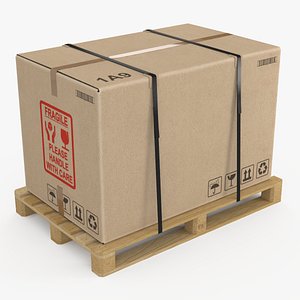 Pallet with Cardboard Box Large