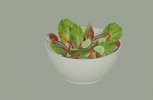 Bowl of Salad 3D
