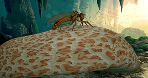 3d model mosquito