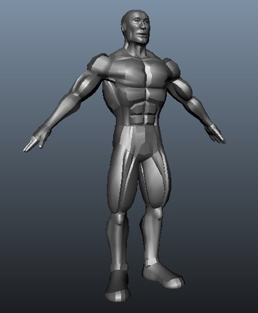 3d Model Of Muscular Man Body Male