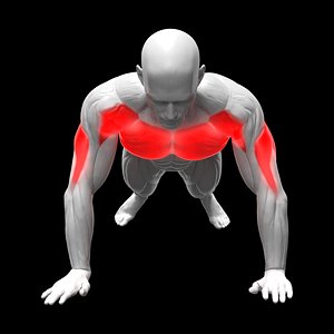 Push Ups