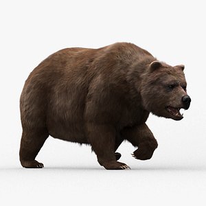 3D model bear fur hair animation