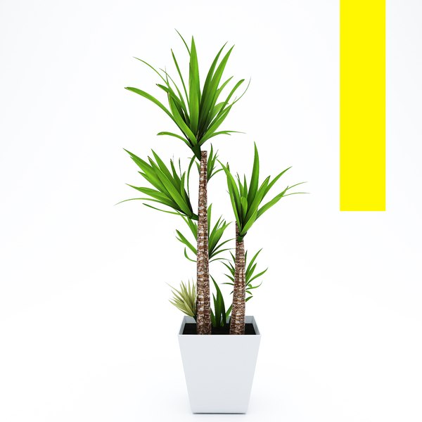 3D palm pot