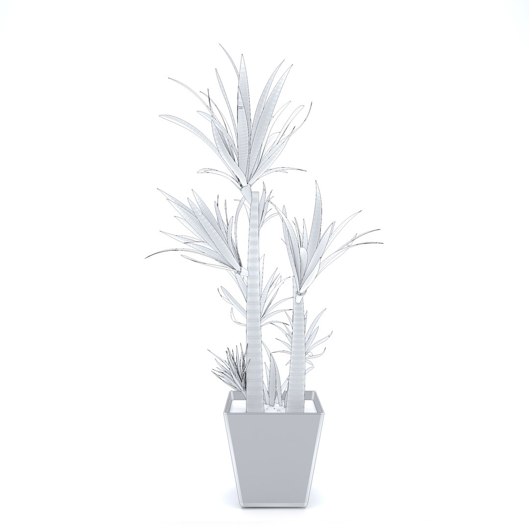 3D palm pot https://p.turbosquid.com/ts-thumb/pE/Wfu7Gi/NoDGYzhU/palm_05/jpg/1500034355/1920x1080/fit_q87/28cfaededa00ff055737312a06b5da06996109cd/palm_05.jpg